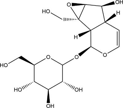 Neuroprotective Effect of Catalpol via Anti-Oxidative, Anti-Inflammatory, and Anti-Apoptotic Mechanisms